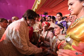 T Subbarami Reddy Grandson Wedding Photos